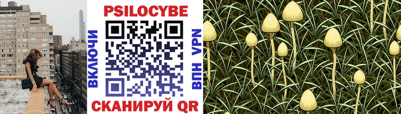 Галлюциногенные грибы Cubensis  MEGA ONION  Кудрово 